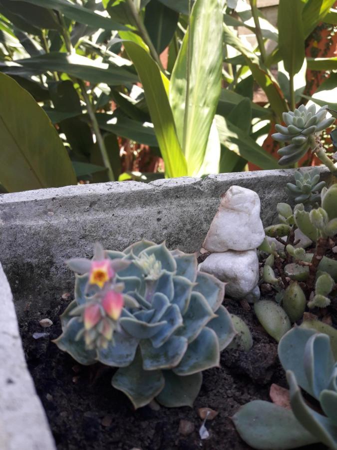 Casa Indaia Bnb - Casa Compartilhada Caraguatatuba Dış mekan fotoğraf