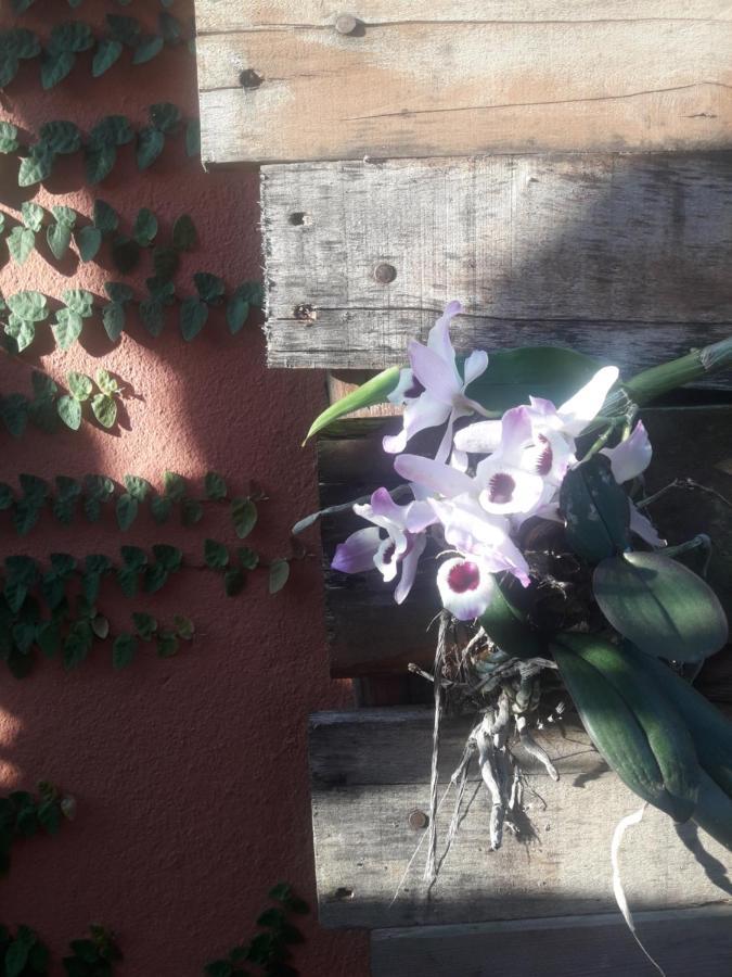 Casa Indaia Bnb - Casa Compartilhada Caraguatatuba Dış mekan fotoğraf