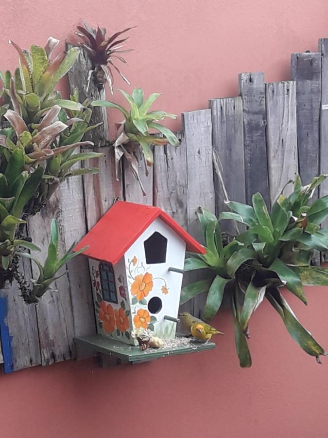Casa Indaia Bnb - Casa Compartilhada Caraguatatuba Dış mekan fotoğraf