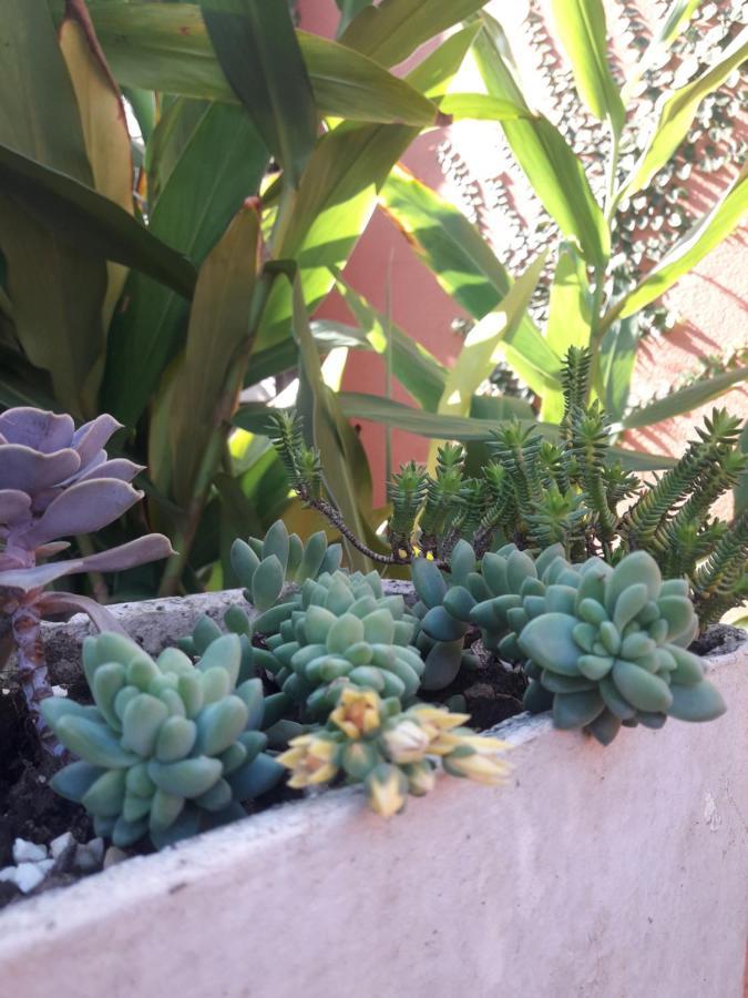 Casa Indaia Bnb - Casa Compartilhada Caraguatatuba Dış mekan fotoğraf